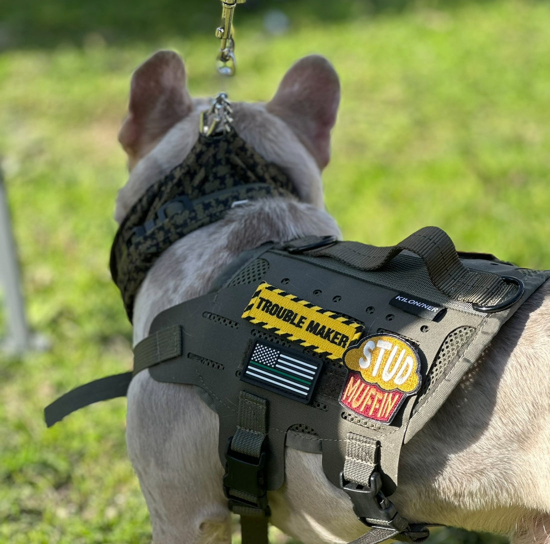 Stud Muffin Embroidered Morale Patch - kiloninerpets