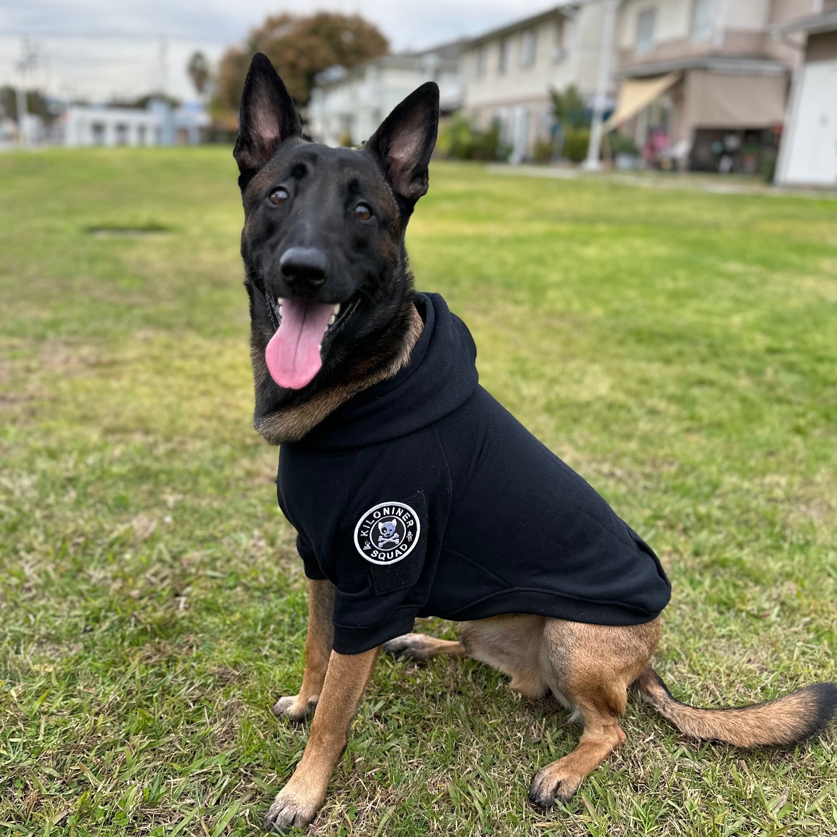 dog gear pullover Big Dog Tactical Pull-Over Hoodie XLarge / Red