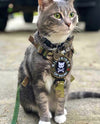 K9R - M1 Lightspeed Harness for Cats - kiloninerpets