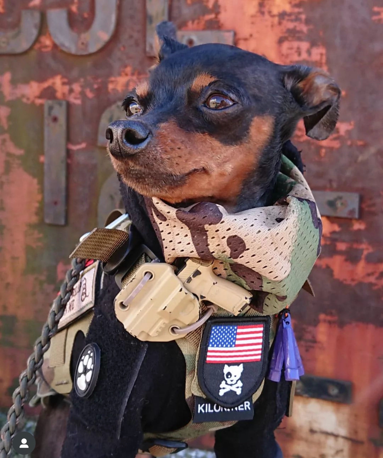 Blimark This Is Fine Dog Moral Tactical Patch, 1 Stück Lustiger Meme Bestickter Aufnäher, Militär-Patch Mit Hakenverschluss, Niedliche Applikation