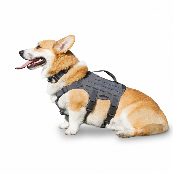M4 Tactical Harness for Dogs | Kiloniner M4 Tactical Harness for Dogs | Kiloniner
