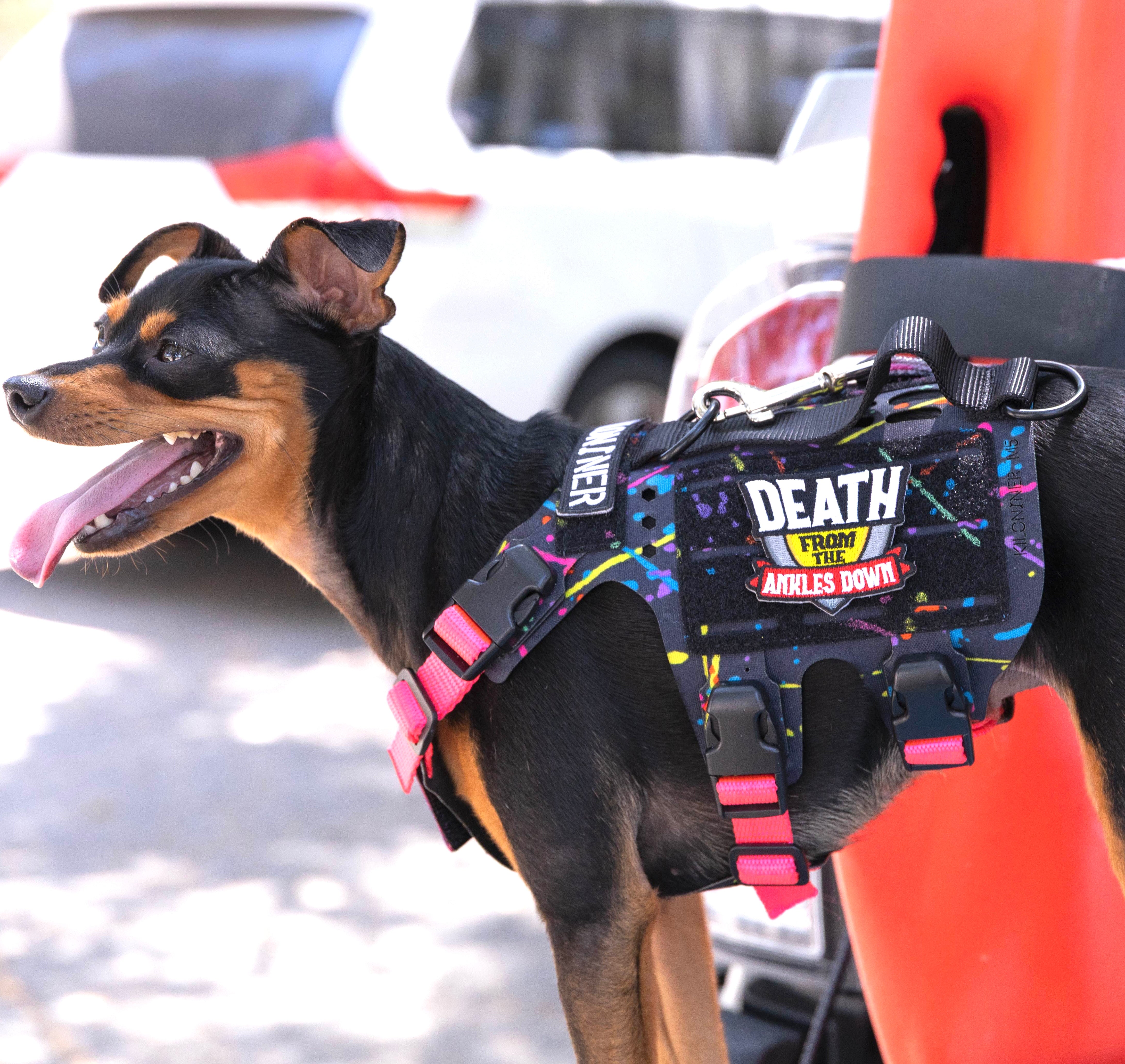 K9R - M5 MOLLE Light Vest K9R - M5 MOLLE Light Vest
