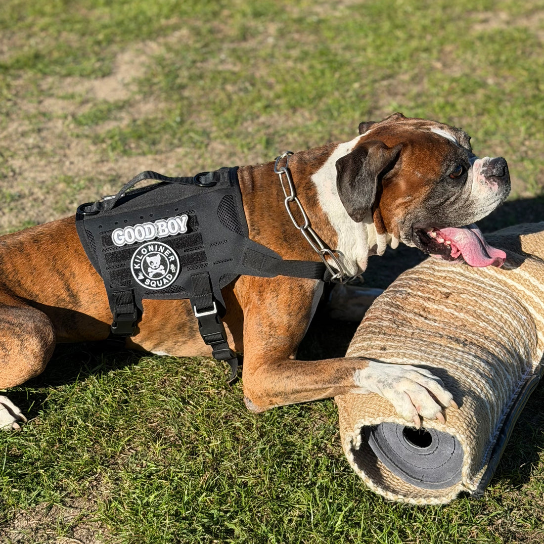 K9R - M4 Tactical MOLLE Vest