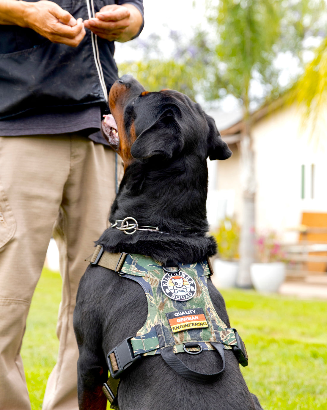K9R - M1 LightSpeed Harness Large - kiloninerpets
