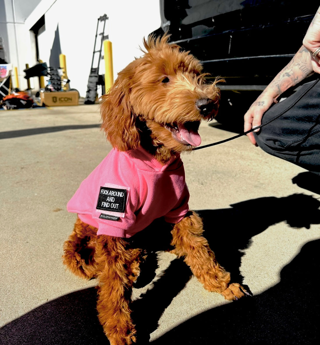 Big Dog Tactical Pull-Over Hoodie - kiloninerpets