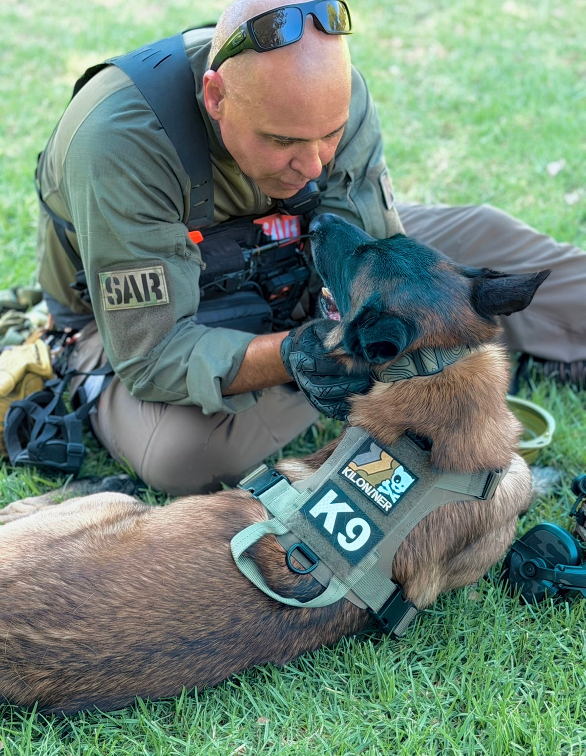 Large dog wearing a Kiloniner M1 harness with patch panels