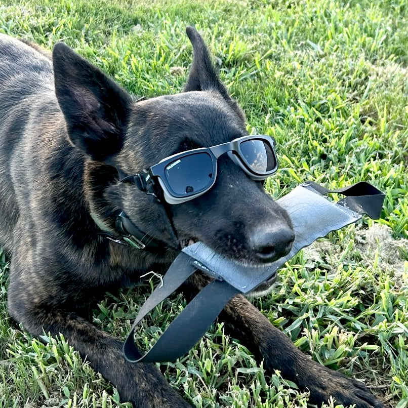 W1 Eye Defender Goggles - kiloninerpets