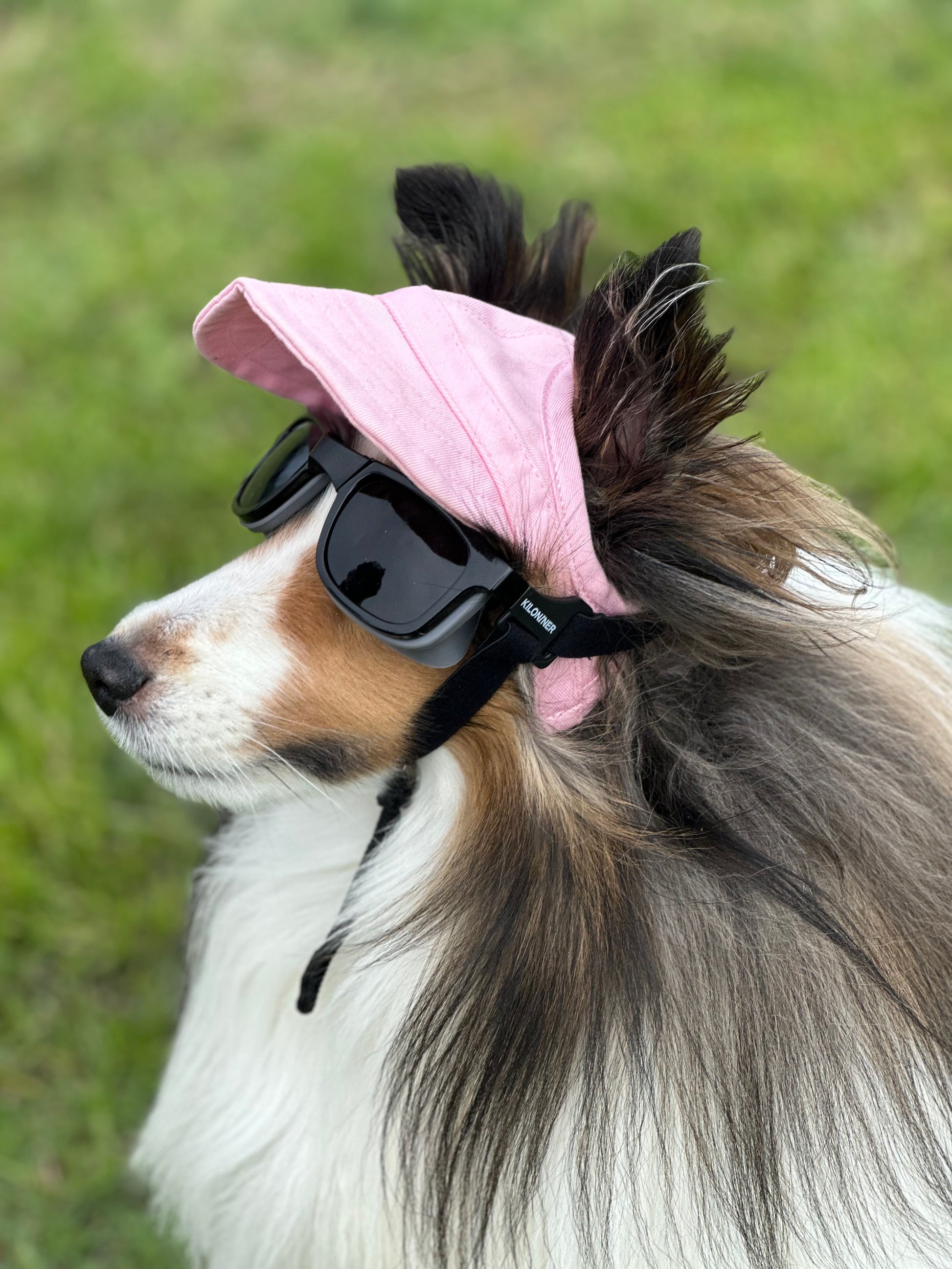 W1 Eye Defender Goggles - kiloninerpets