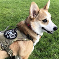 DOG & CROSSBONES Morale Patch - kiloninerpets