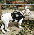 DOG & CROSSBONES Morale Patch - kiloninerpets