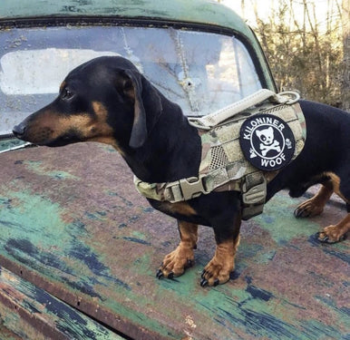 DOG & CROSSBONES Morale Patch - kiloninerpets