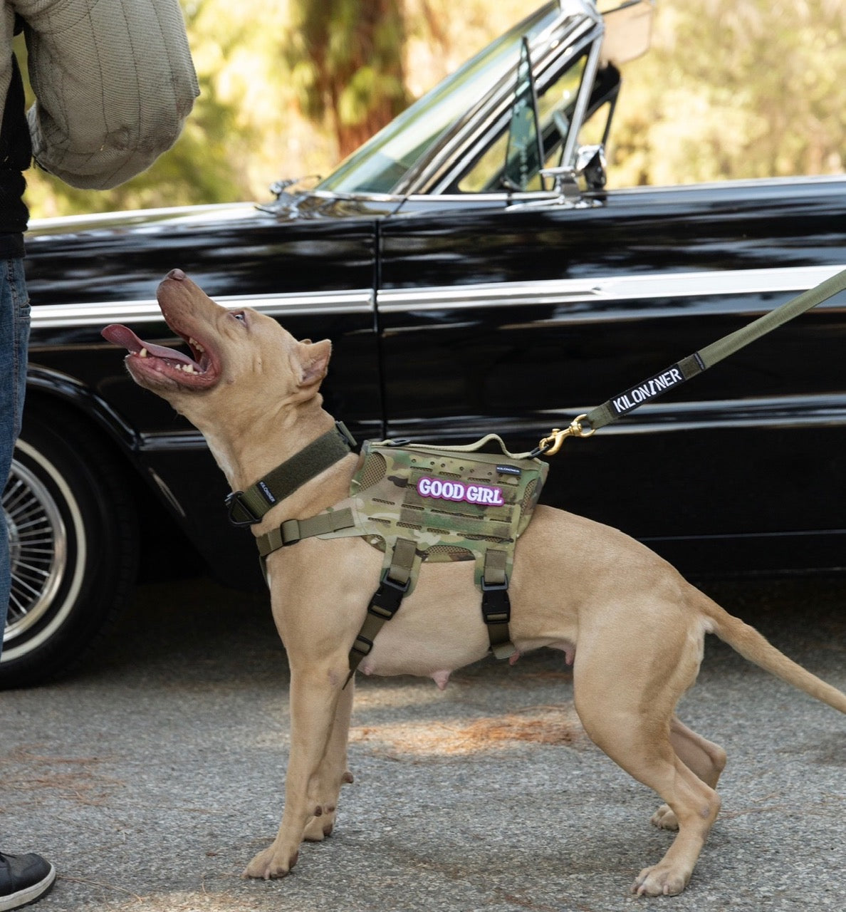 M4 Tactical Harness for Dogs | Kiloniner