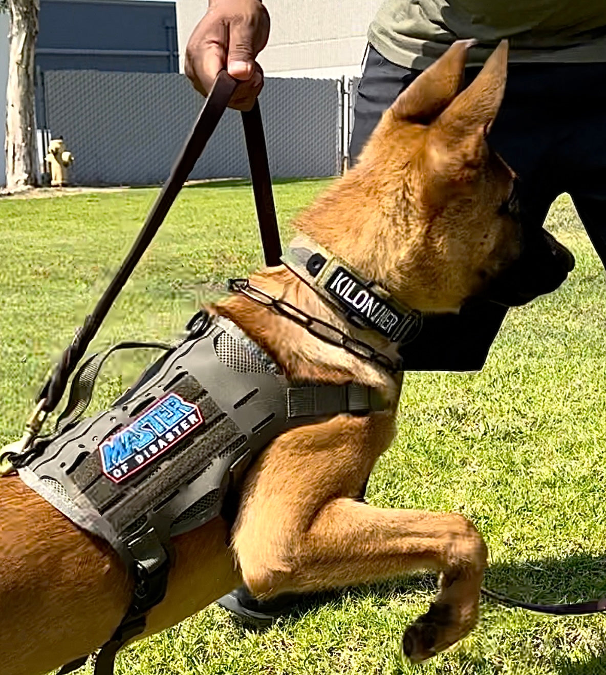 Pitbull K9 Tac Vest Dog Molle Harness Tactical Dog Harness K9 For