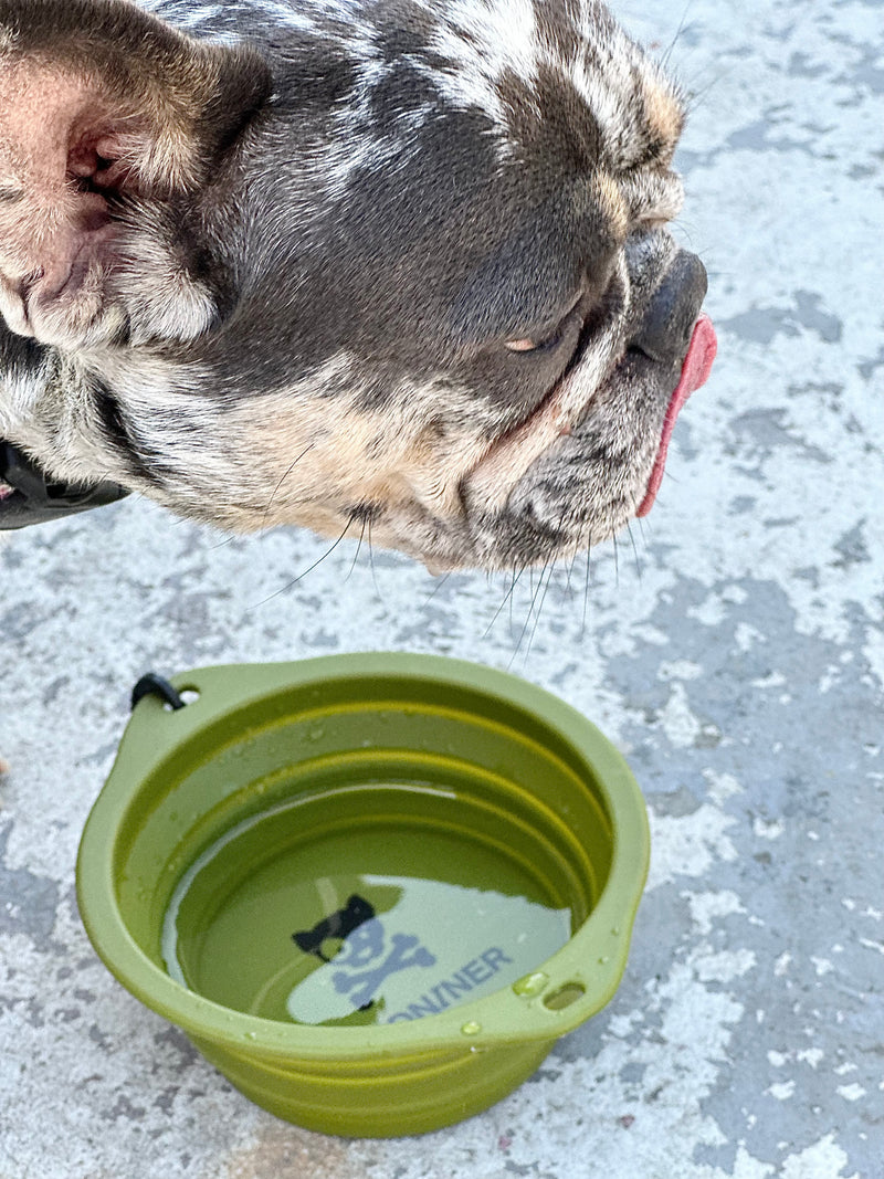 CB1 Collapsible Dog Bowl