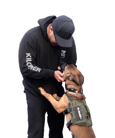 Reflective Ink Subdued Dog and Crossbones Hoodie