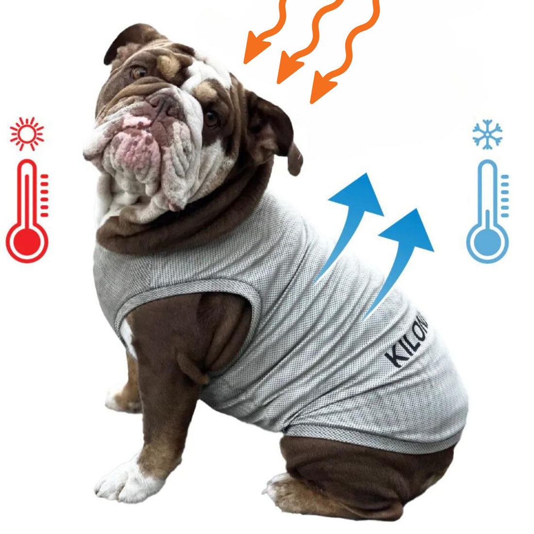 ACTIVE COOLING SHIRT - kiloninerpets