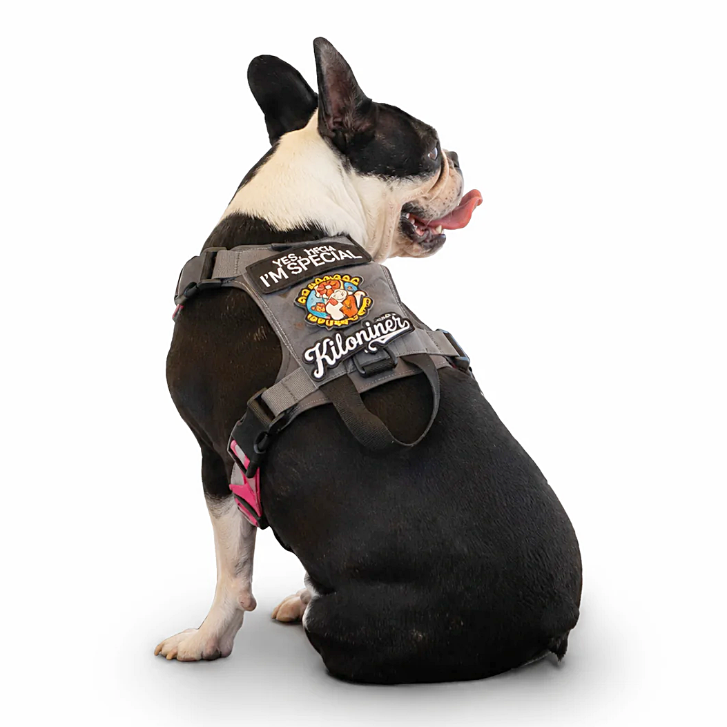 M1 Lightspeed Harness | Kiloniner