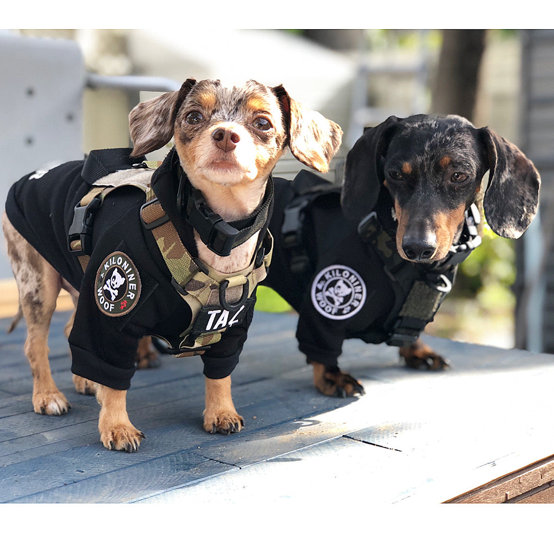 H1 Tactical Dog Hoodie - kiloninerpets