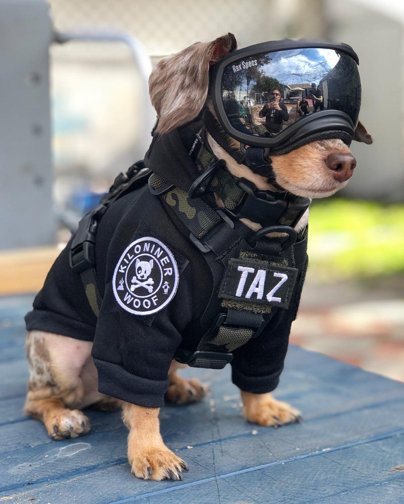 H1 Tactical Dog Hoodie