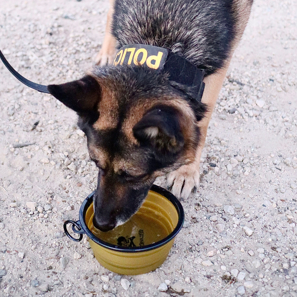 CB1 Collapsible Dog Bowls - kiloninerpets