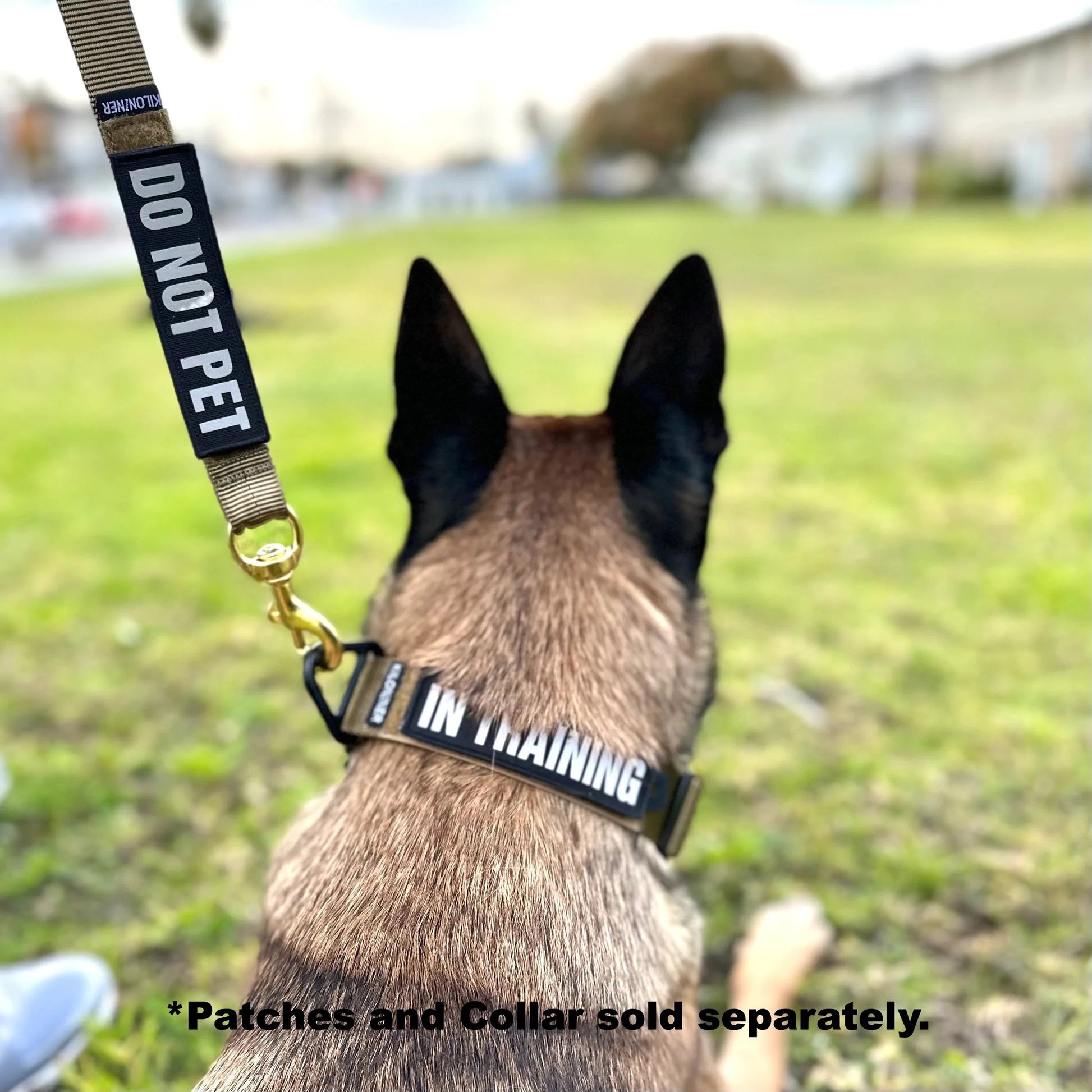 K9R - BLH Big Dog Leash Heavy Duty - kiloninerpets