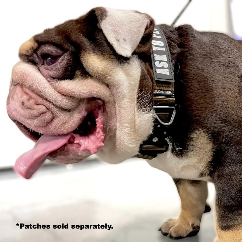 K9R BCH Big Dog Collar Heavy Duty