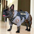 H1 Tactical Dog Hoodie - kiloninerpets