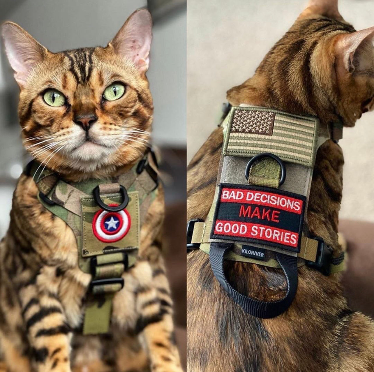 K9R - M1 Lightspeed Harness for Cats - kiloninerpets