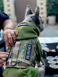 H1 Tactical Dog Hoodie - kiloninerpets