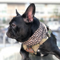 Cooling Shemagh Scarf - kiloninerpets