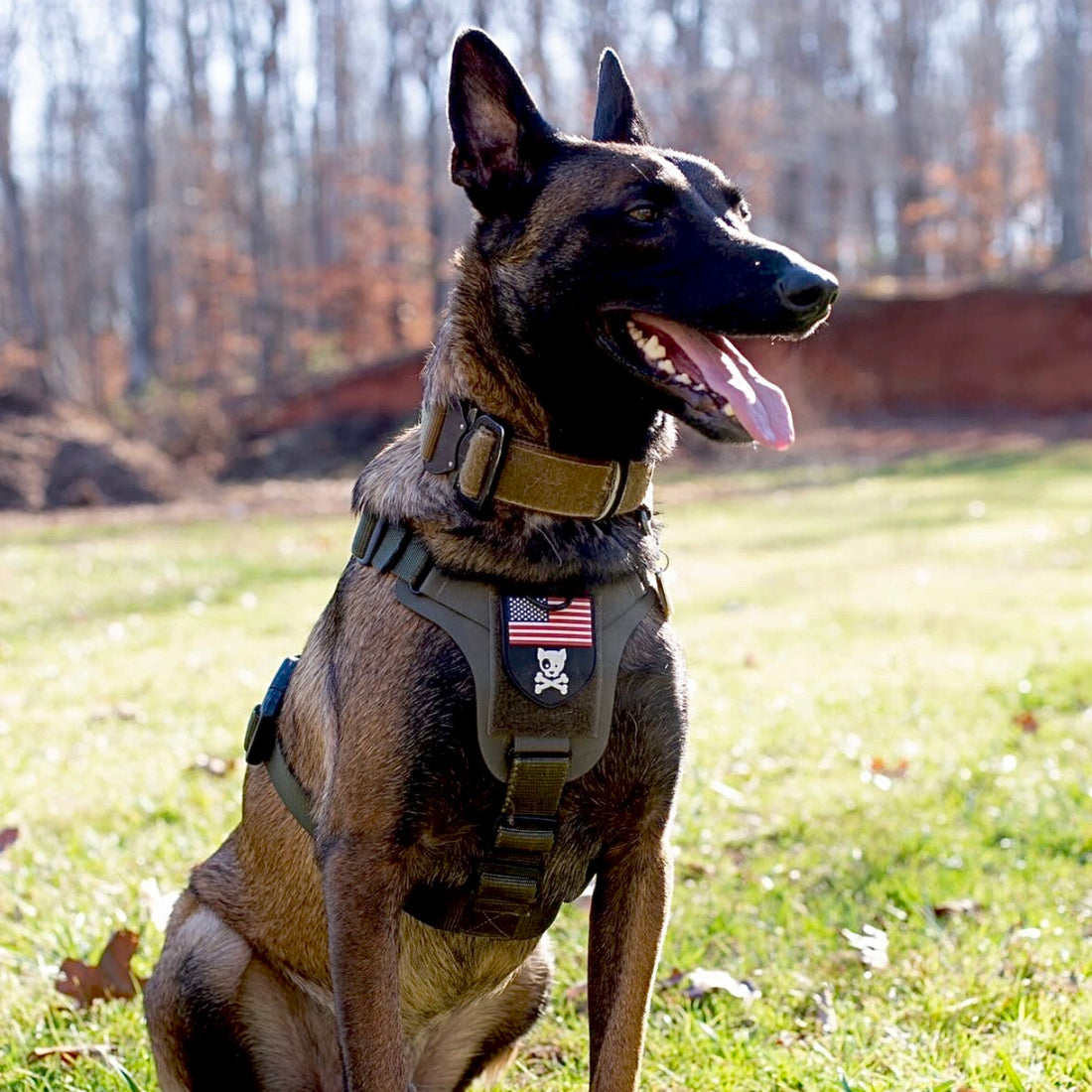 K9R - M1 LightSpeed Harness Large - kiloninerpets