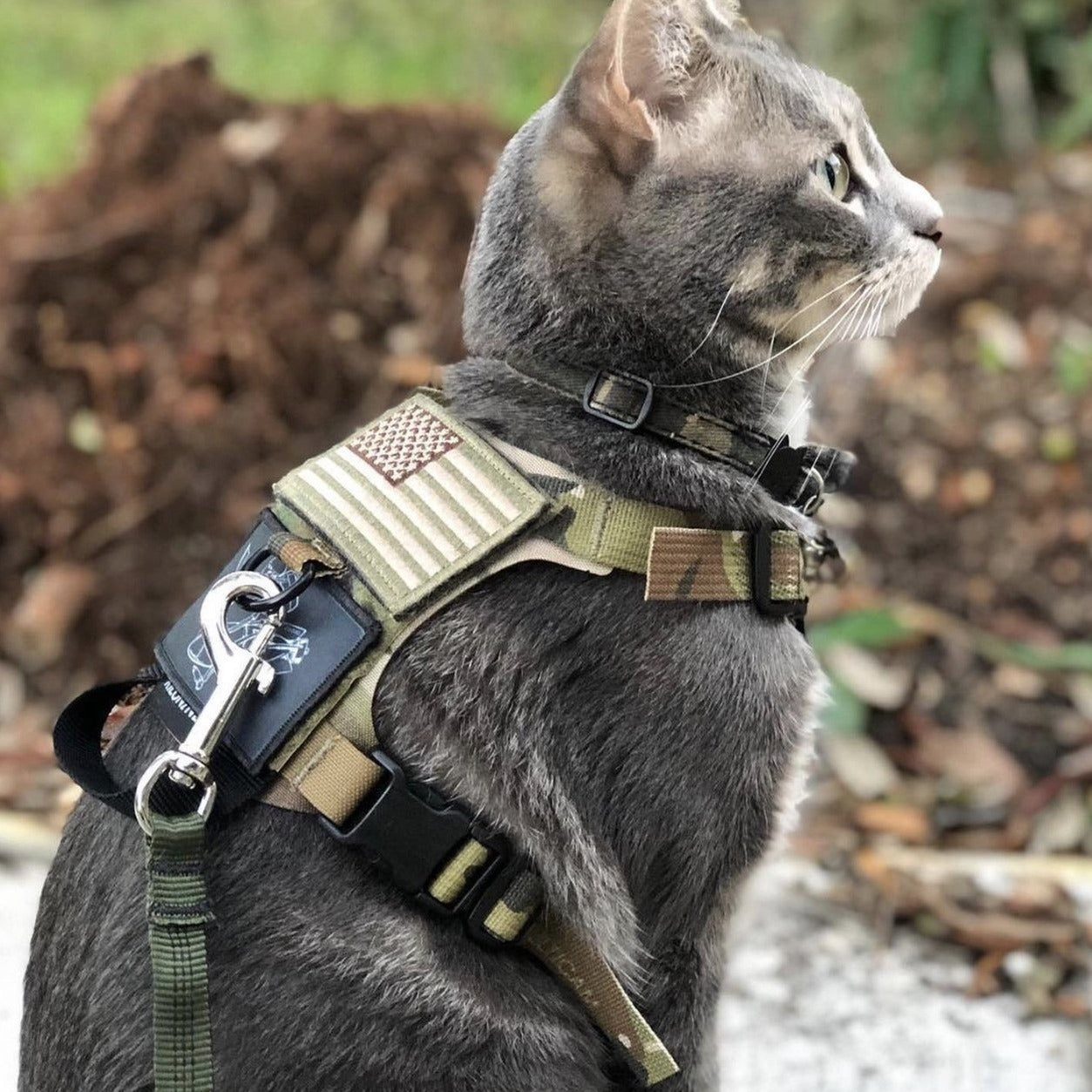 K9R - M1 Lightspeed Harness for Cats - kiloninerpets