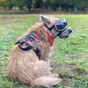 Tactical Camo Harness for XS and Small dogs and cats.