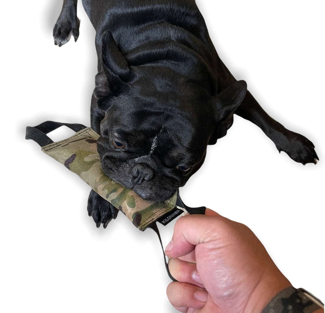 Mini Training Tug Toy - kiloninerpets