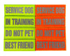 REFLECTIVE HIGH VISIBILITY NEON Tag Patch - kiloninerpets