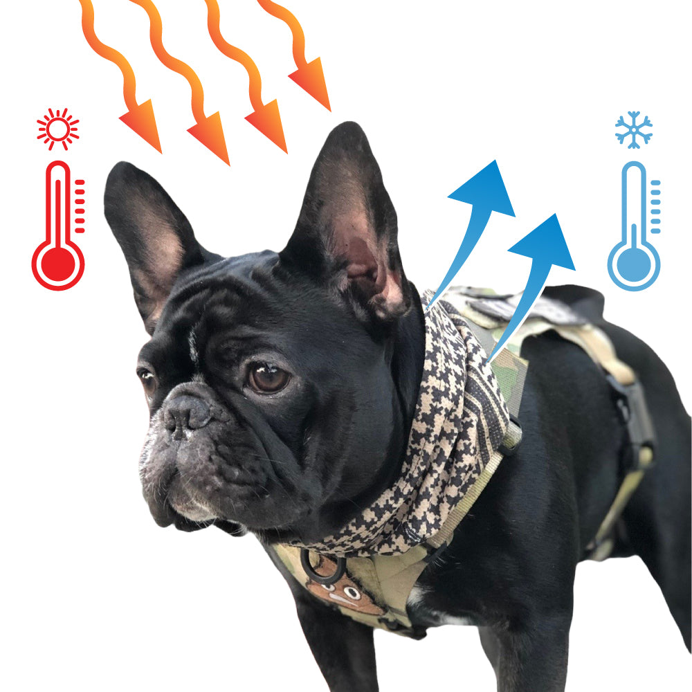 Cooling Shemagh Scarf - kiloninerpets