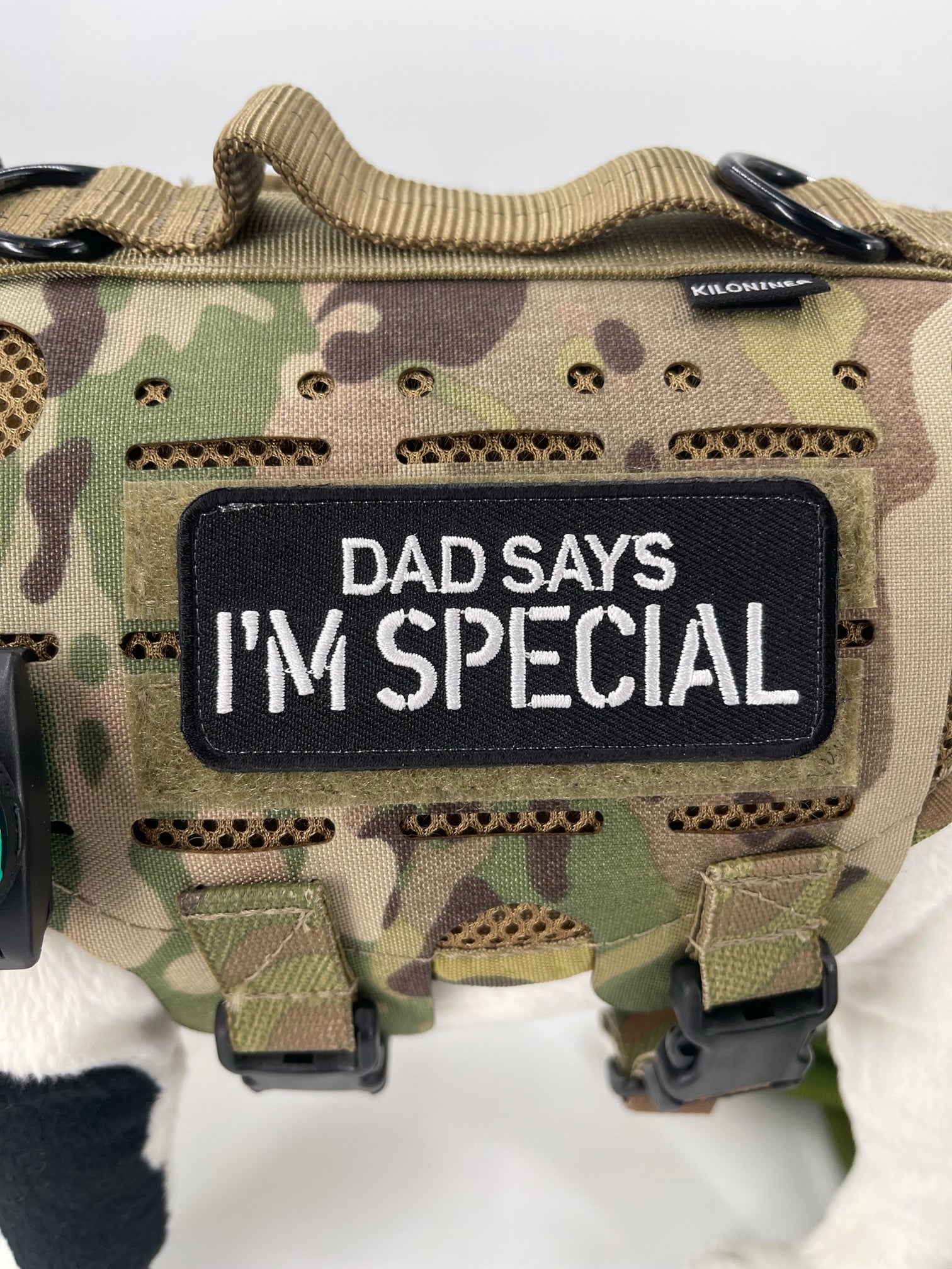 DAD SAYS I’M SPECIAL Morale Patch - kiloninerpets