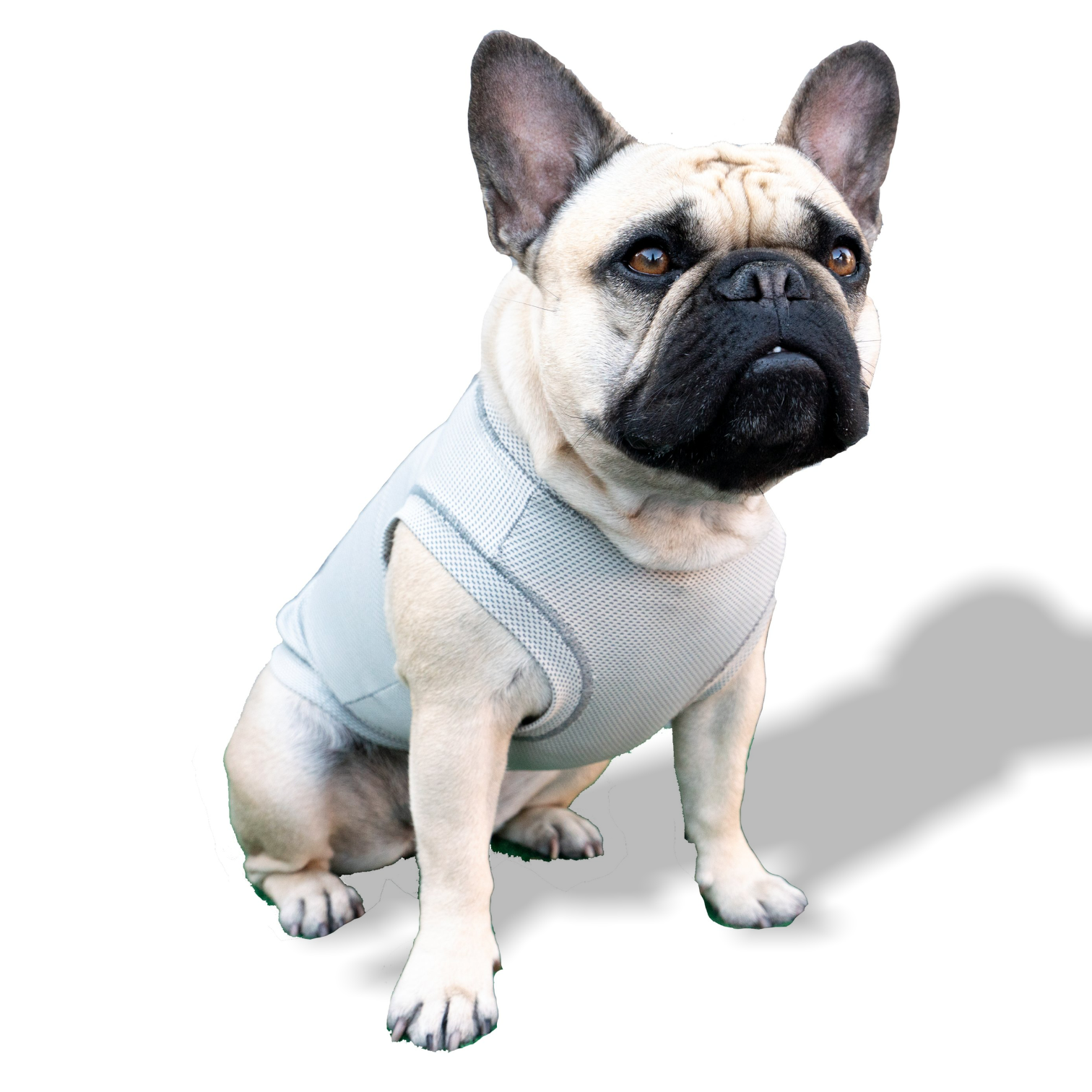 ACTIVE COOLING SHIRT - kiloninerpets