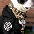 MINI DOG & CROSSBONES Morale Patch - kiloninerpets