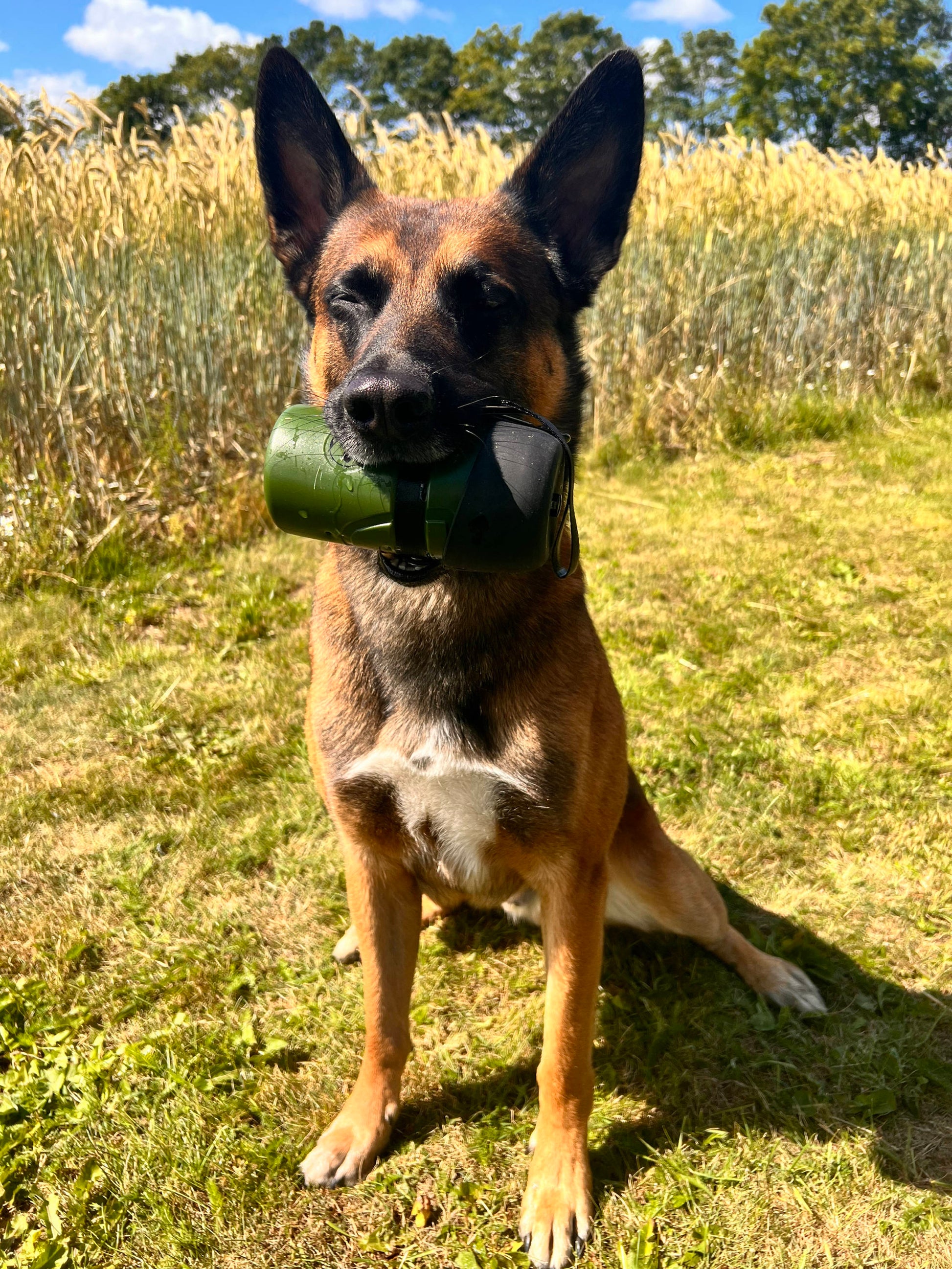 Pet Squeeze Water Bottle - kiloninerpets